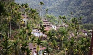 Meghalaya Photos - 10 Nongriat Pictures You Need To See