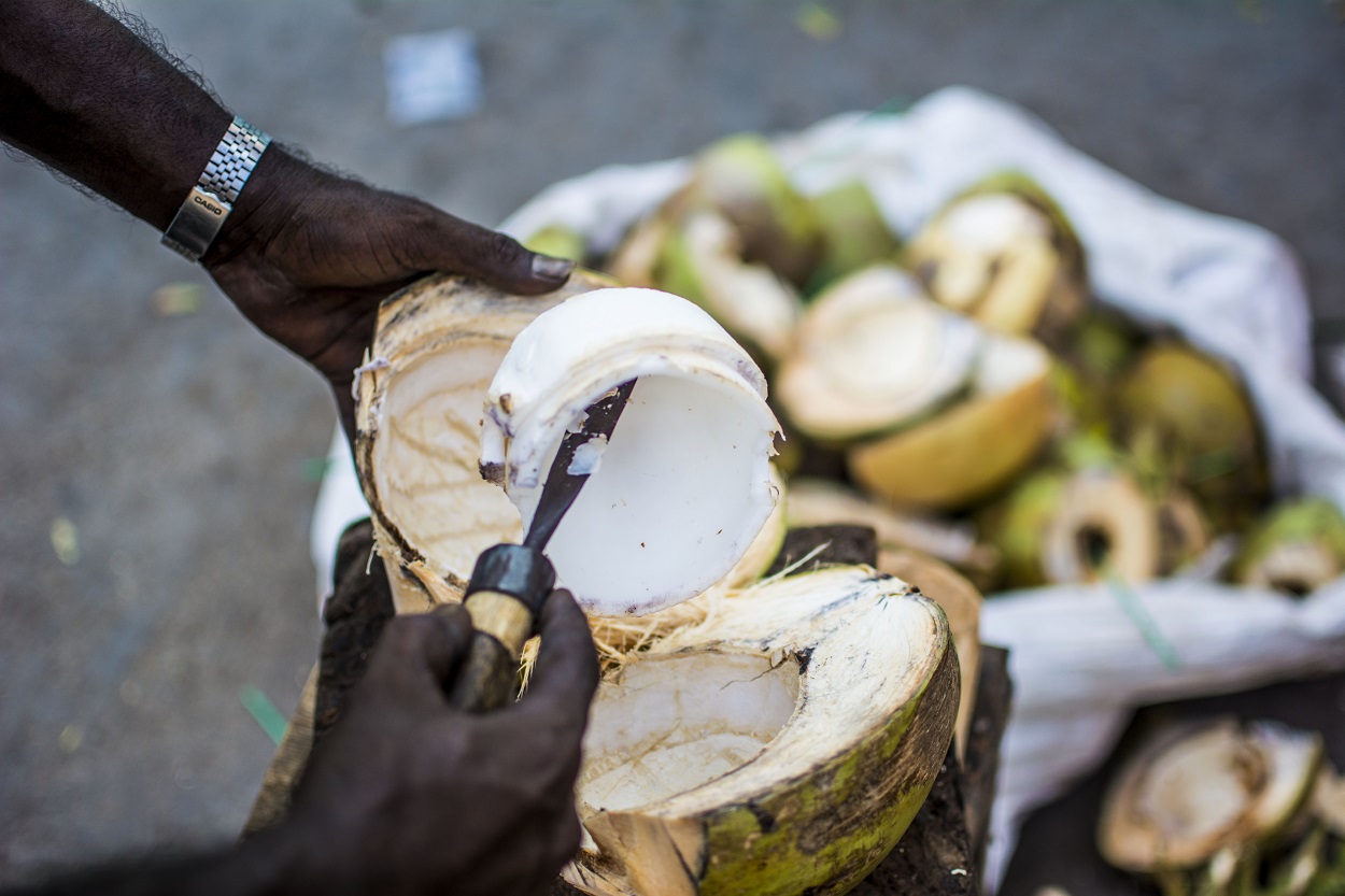 coconut seller