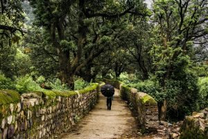 rishikesh travel blog
