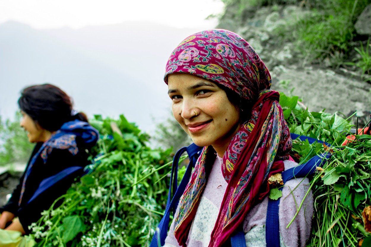 himachal girl