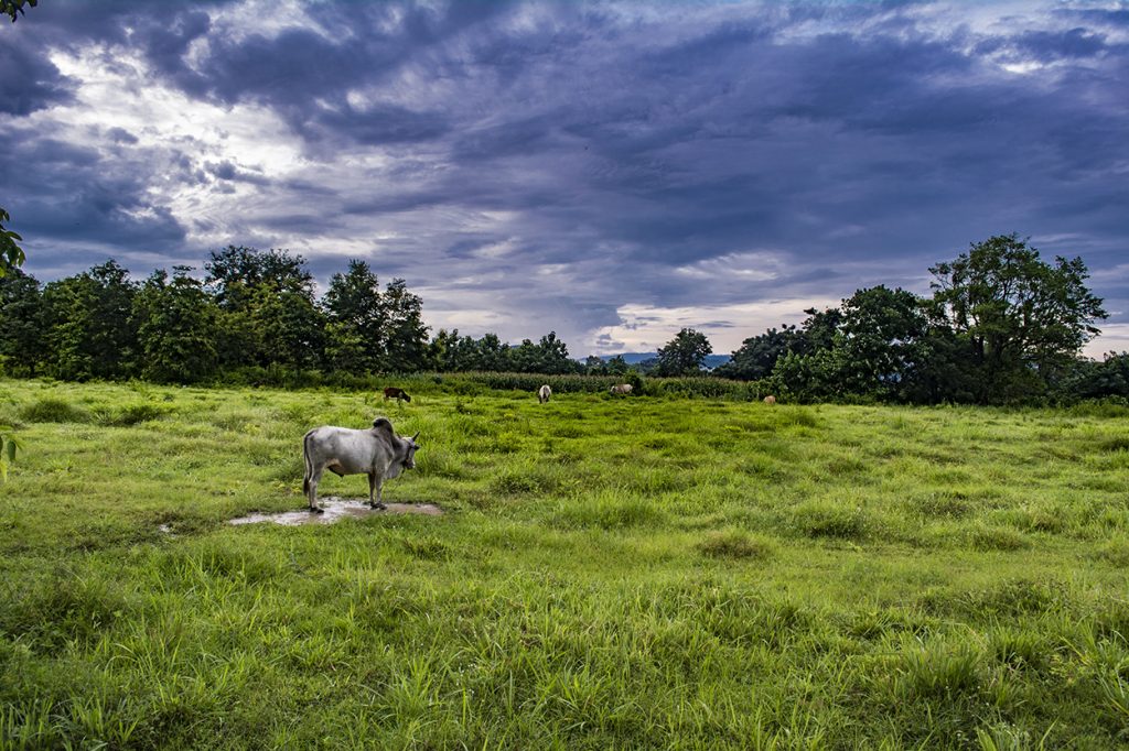 Why Thailand’s Mountain Backpacker Paradise 'Pai' Couldn’t Intrigue Me