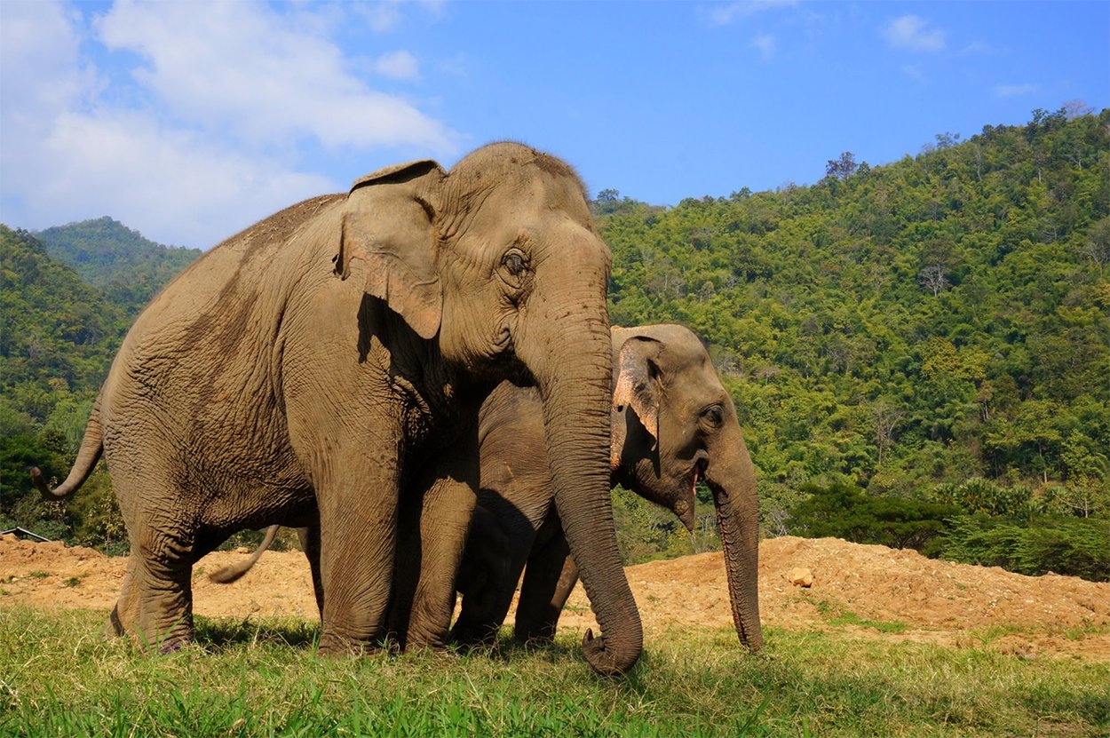 Thailand Nature Park