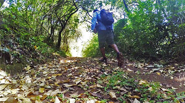 coorg-trekking