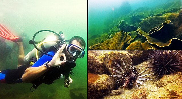 scuba-diving-india