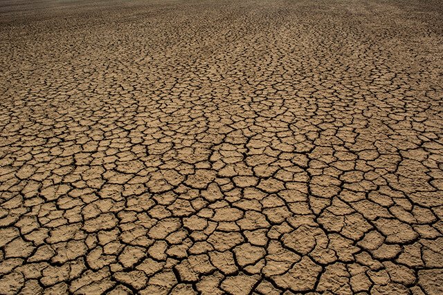 little rann of kutch gujarat