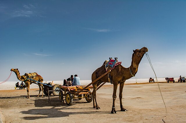 rann utsav