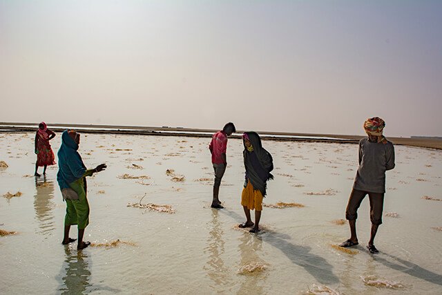 salt mashing farmers kutch