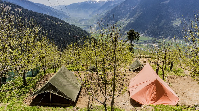 camping in manali