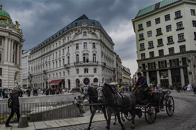 what to see vienna