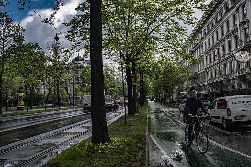 vienna street photo