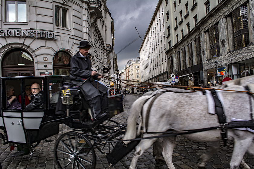 vienna horse carriage