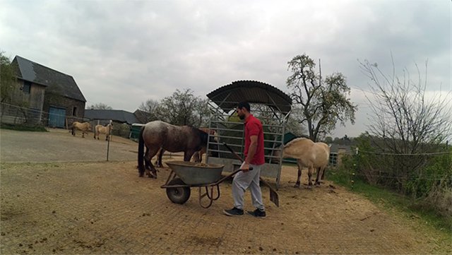 horse stable