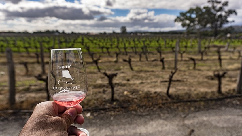 windy creek wine tour