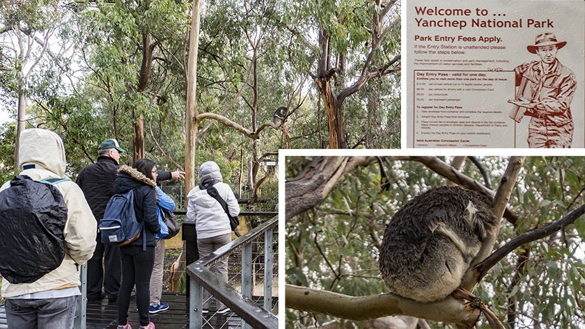 Yanchep National Park