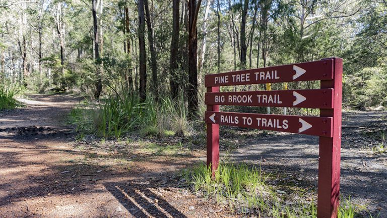 Mountain Biking In Margaret River In 2021 | Travel Blog