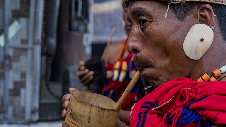 Hornbill Festival Pictures | 17 of The Best Photos