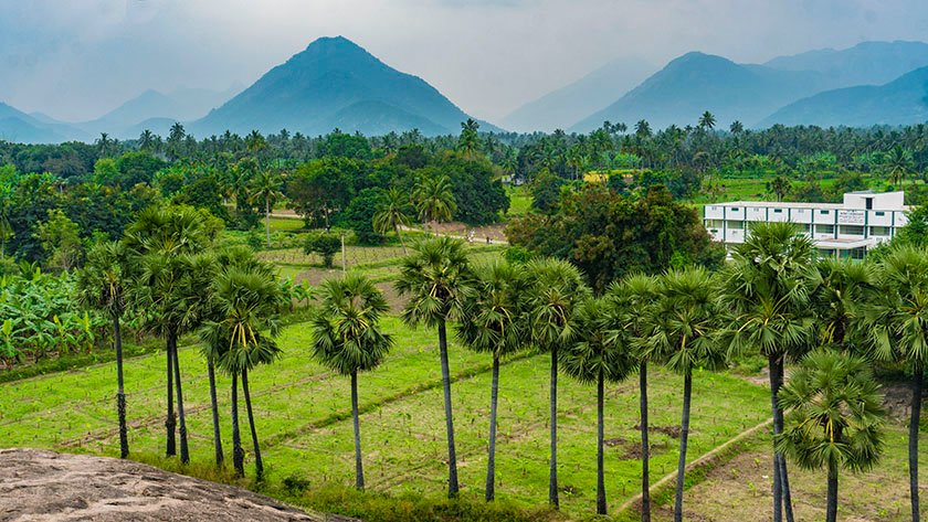 landscapes in padavedu village