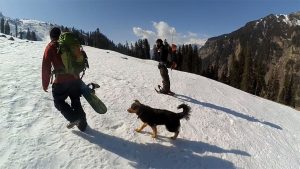 backcountry snowboarding india