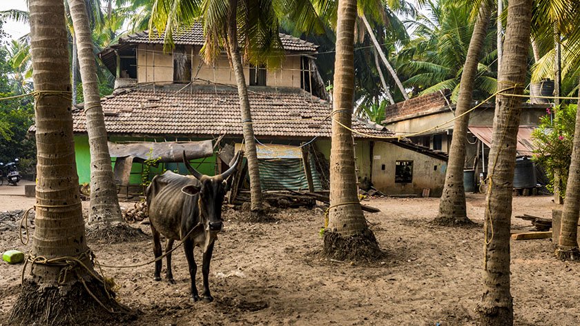 malvan village