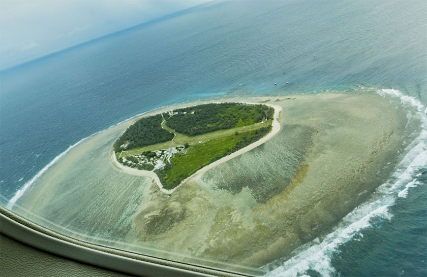 lady elliot island