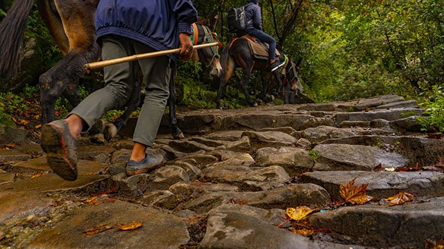 hemkund sahib trek