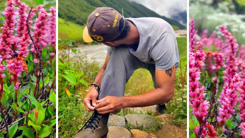 valley of flowers trek