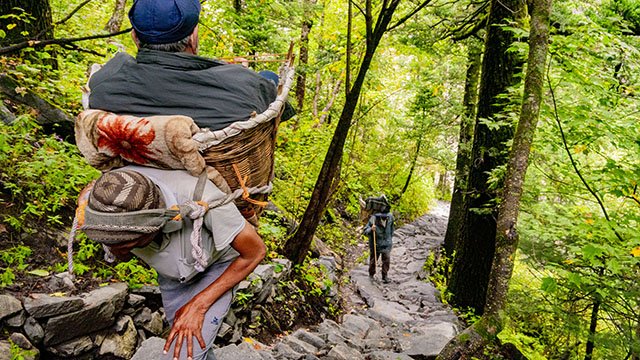 valley of flowers trek photo