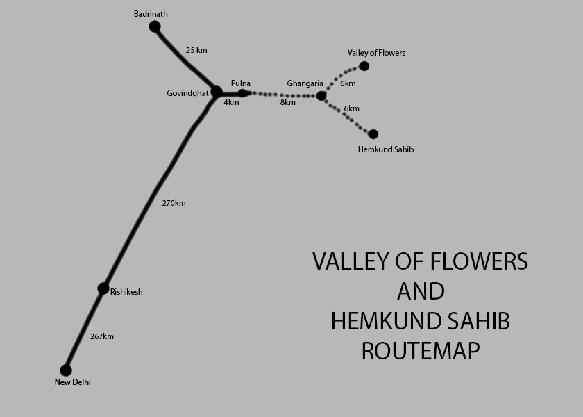 Hemkund Sahib valley flowers trek