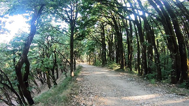 Binsar Wildlife Sanctuary