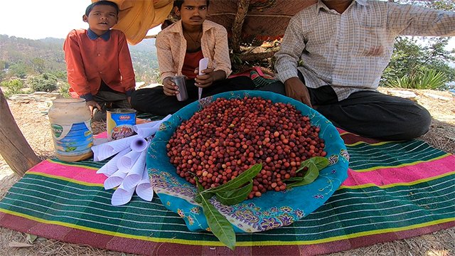 fruits