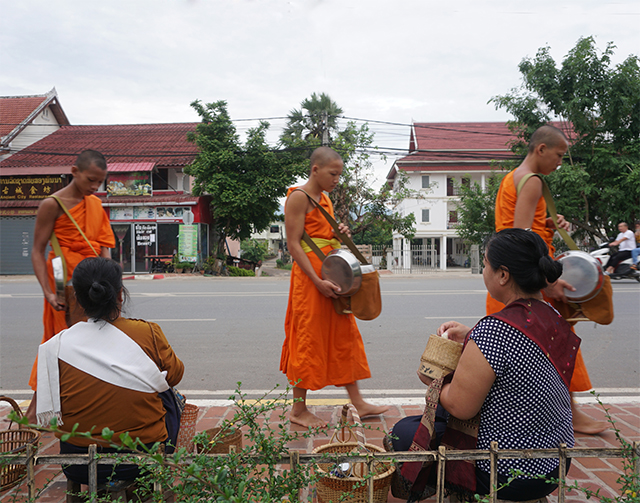 monks accept alms in luang prabang