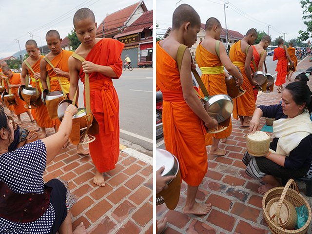 alms taking in luang prabang