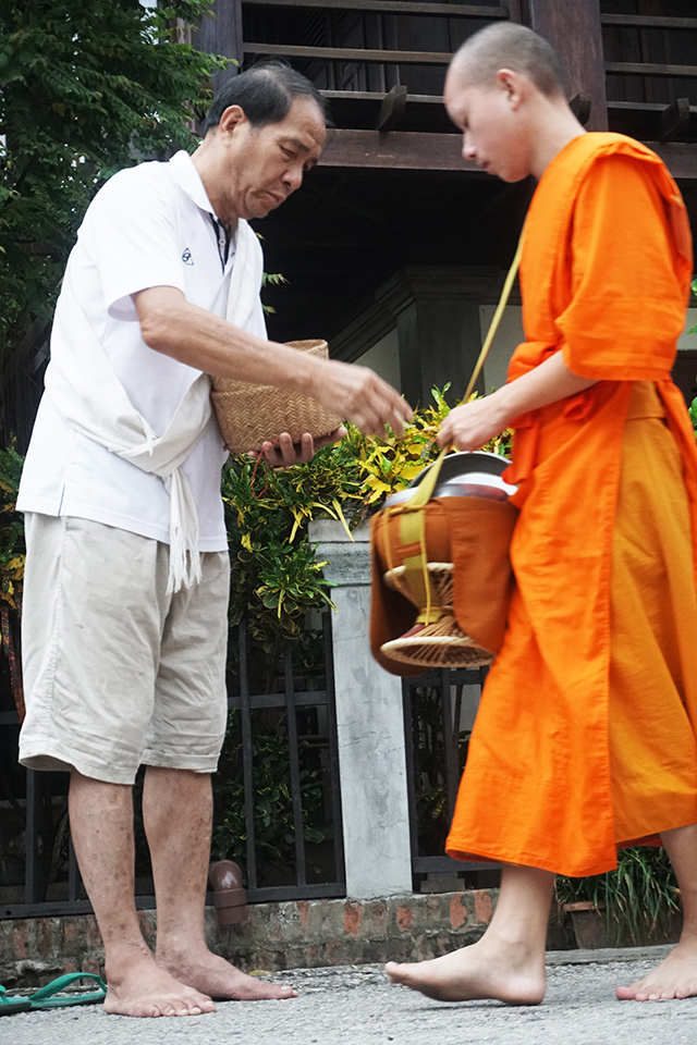 laos monks photo