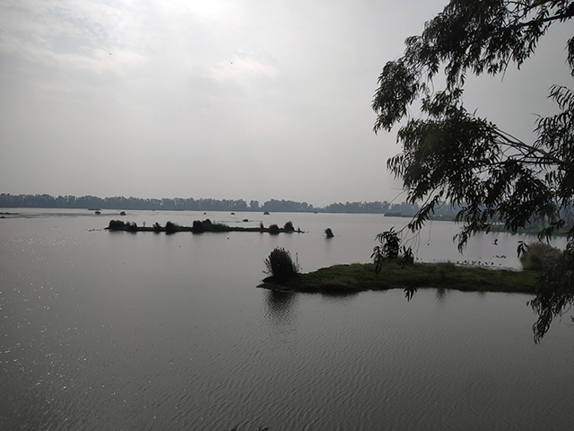 bhindawas lake