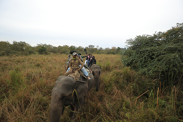 elephant ride in manas national park