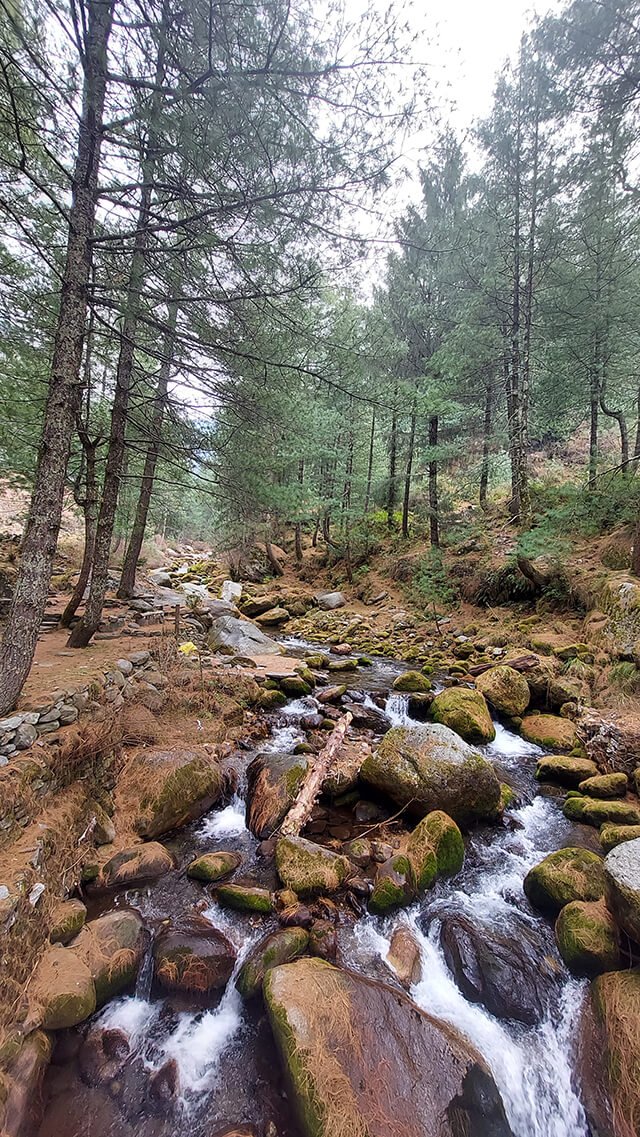 river manali