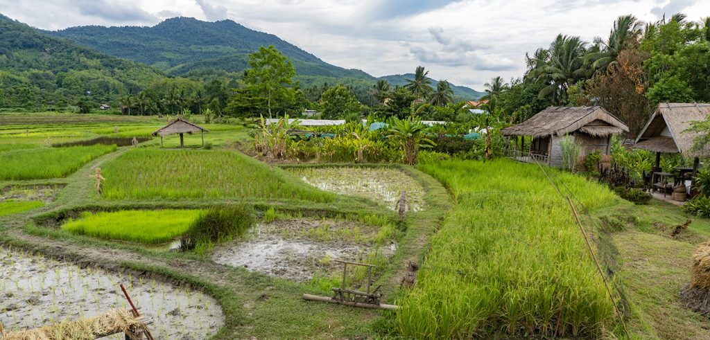 luang prabang laos