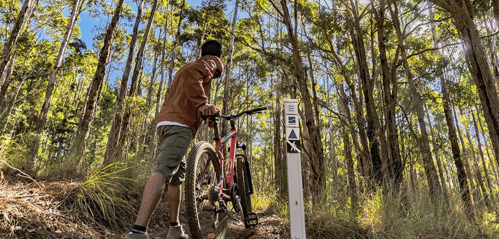 margaret river mountain biking