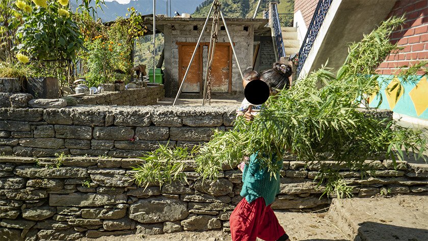 marijuana hash uttarakhand