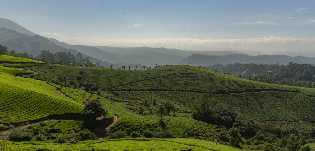 munnar travel