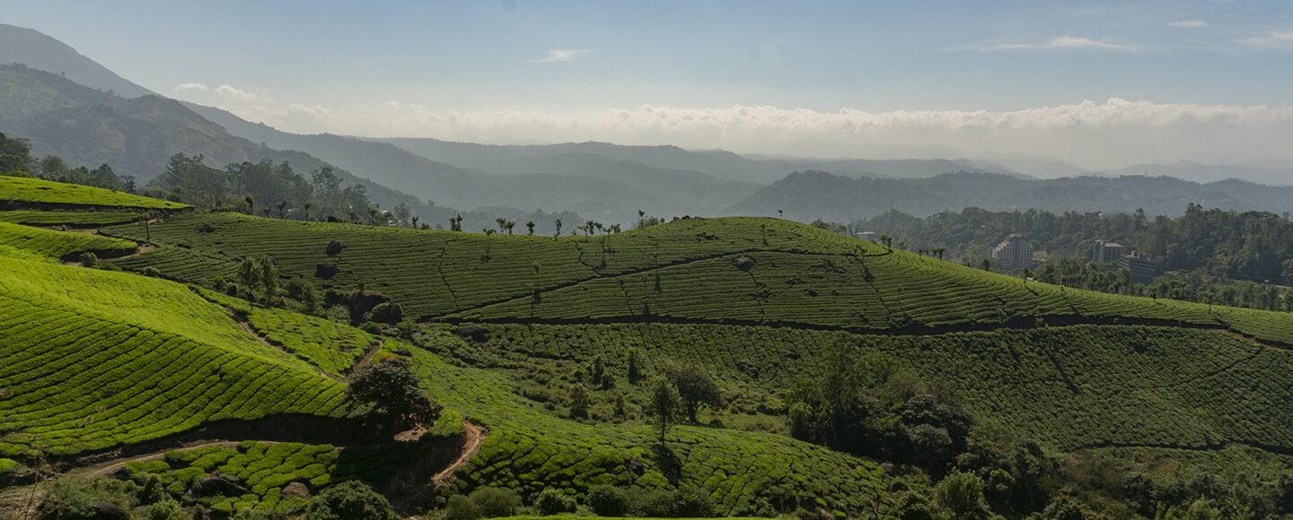 Munnar Travel Blog - Tourist Places, Best Time To Visit, Hotels and More