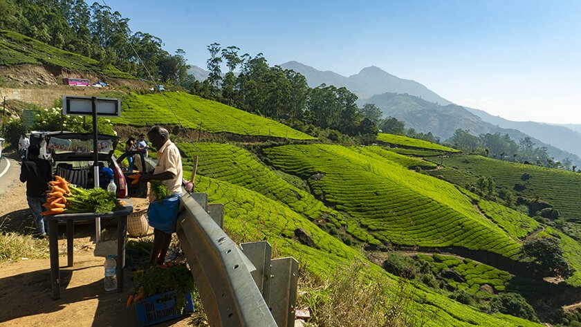 munnar