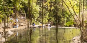 Nongriat Living Root Bridge: Not Worth Visiting Anymore