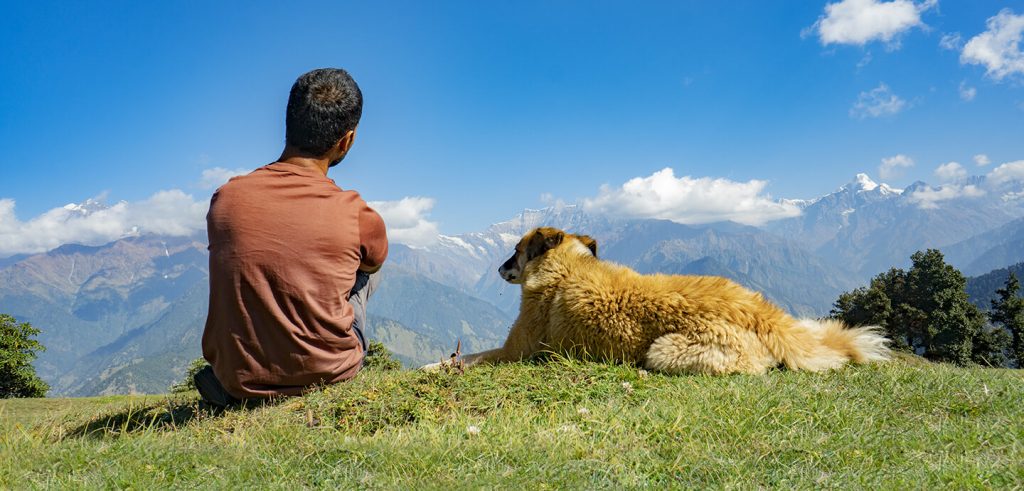 pindari glacier trek