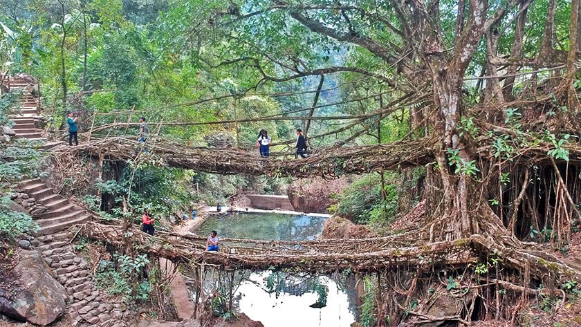 double decker root bridge nongriat