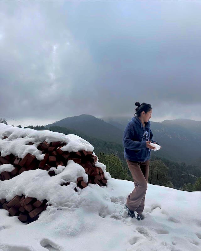snowfall in shimla