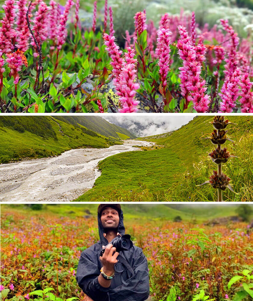 Valley of Flowers visit India